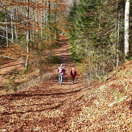 Austria Classic Heiligkreuz 4*