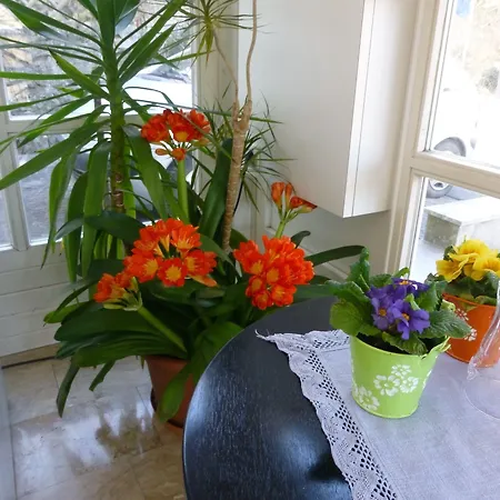 Hotel Austria Classic Heiligkreuz